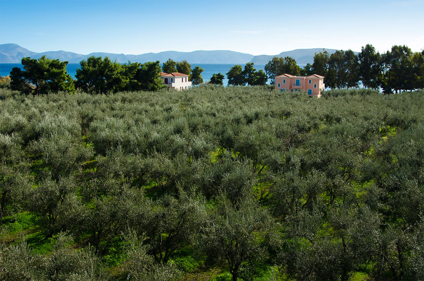 Makis Inn Resort - Thermissia, Argolida, Greece Makis Inn Resort - Thermissia, Argolida, Greece