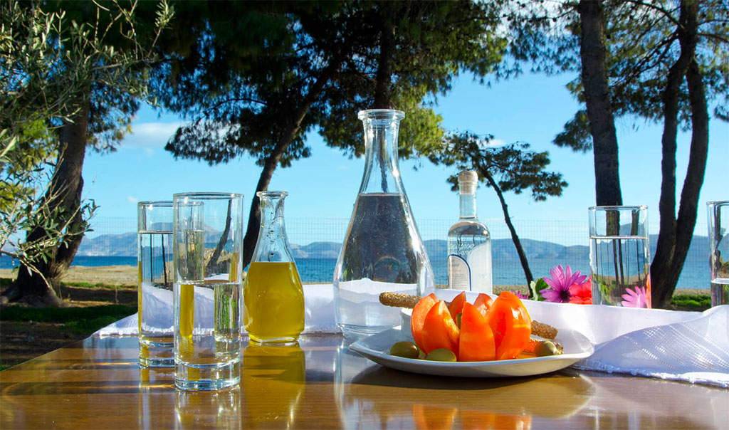 Makis Inn Resort - Thermissia, Argolida, Greece Makis Inn Resort - Thermissia, Argolida, Greece