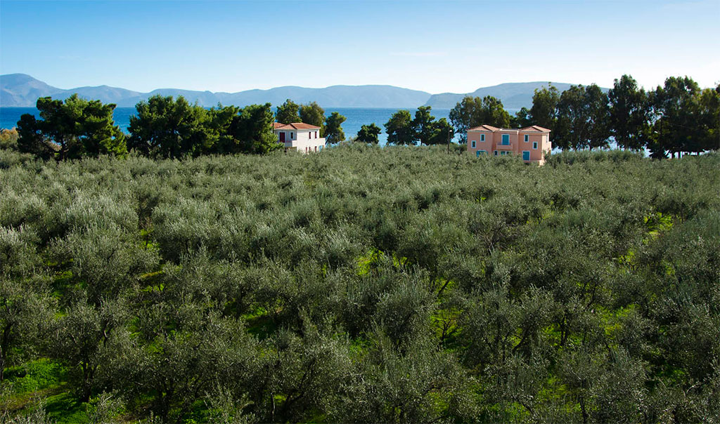 Makis Inn Resort - Thermissia, Argolida, Greece Makis Inn Resort - Thermissia, Argolida, Greece