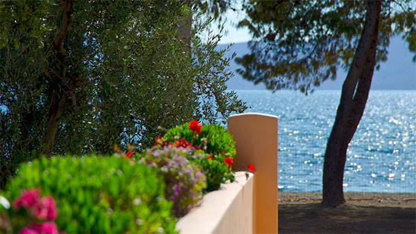 Makis in Beach Resort, Thermissia, Ermioni, Argolida