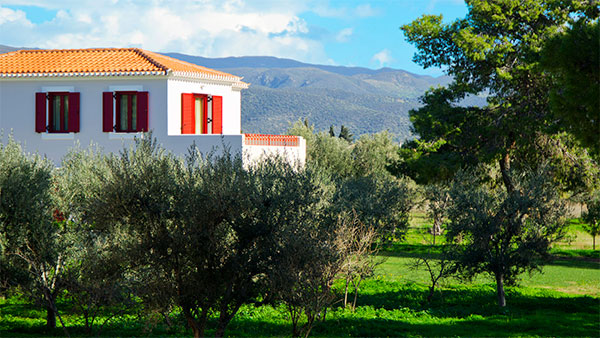 Makis in Beach Resort, Thermissia, Ermioni, Argolida