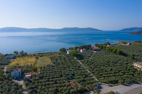 Makis in Beach Resort, Thermissia, Ermioni, Argolida